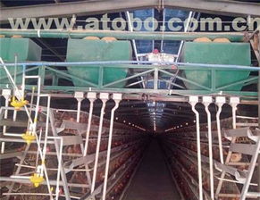 滎陽市高村大張強勝機器廠 畜牧養殖業設備熱賣促銷及供應商解析