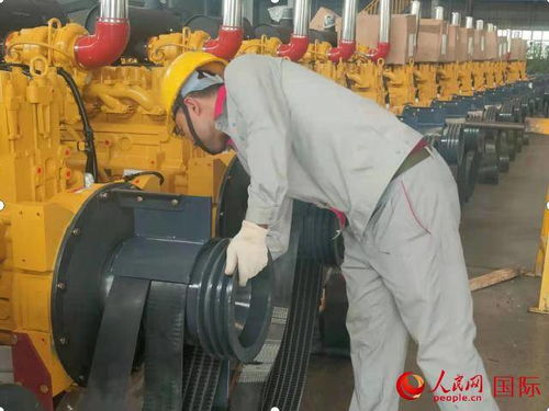 新疆 勞動創造美好生活——畜牧漁業飼料銷售的繁榮與發展