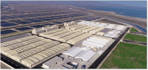 恒興 中國(guó)水產(chǎn)民族品牌的崛起之路